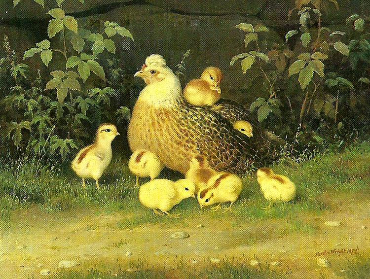 broderna von wrights hona med kycklingar oil painting picture